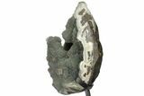 Prasiolite (Green Quartz) Geode With Stand #100328-3
